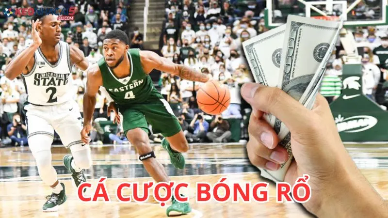 Cá cược bóng rổ phân tích chuyên sâu và chiến lược hiệu quả